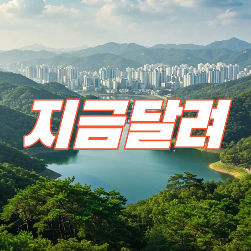 지금달려.프로필