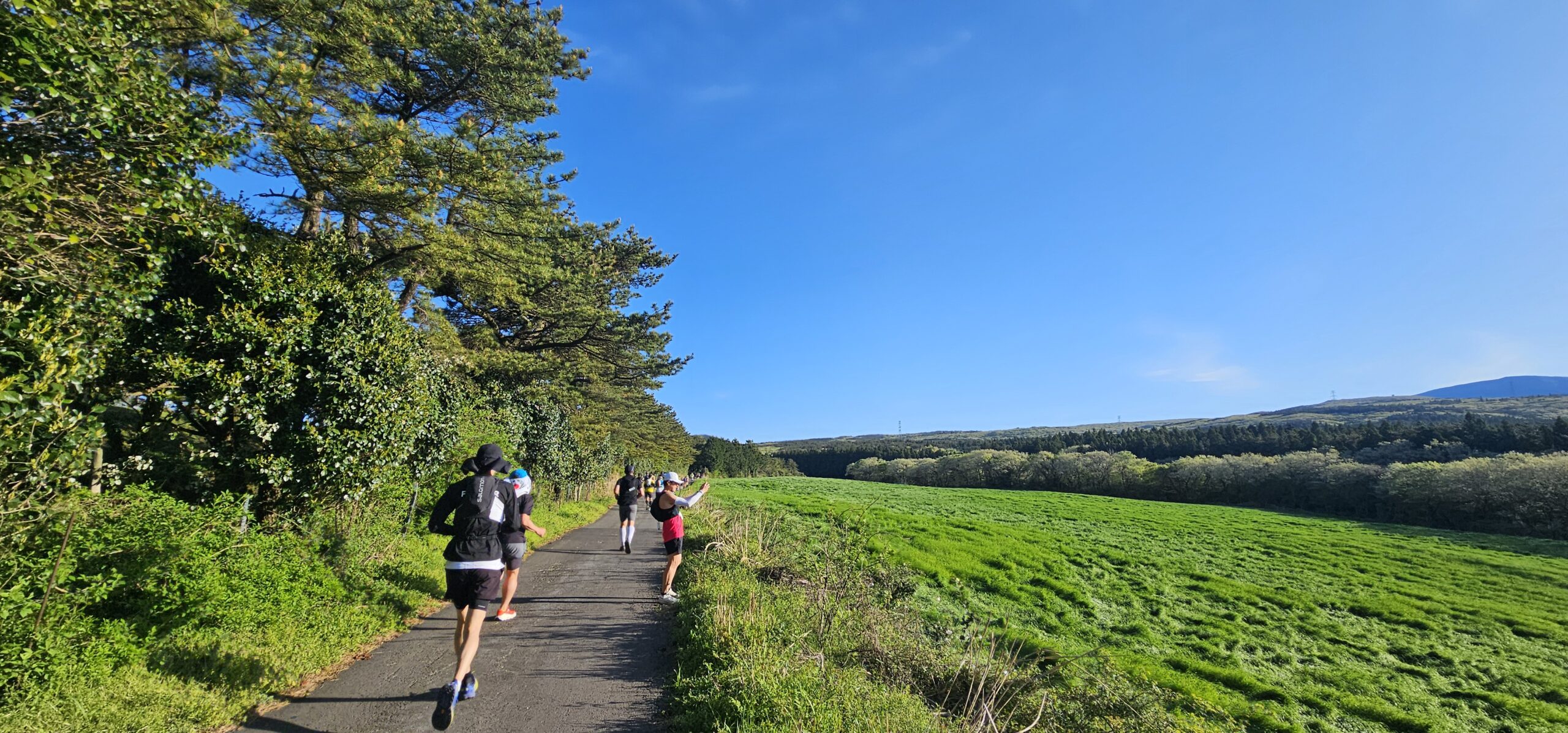 Runner on a forest trail during the Black Yak Jeju Trail Run