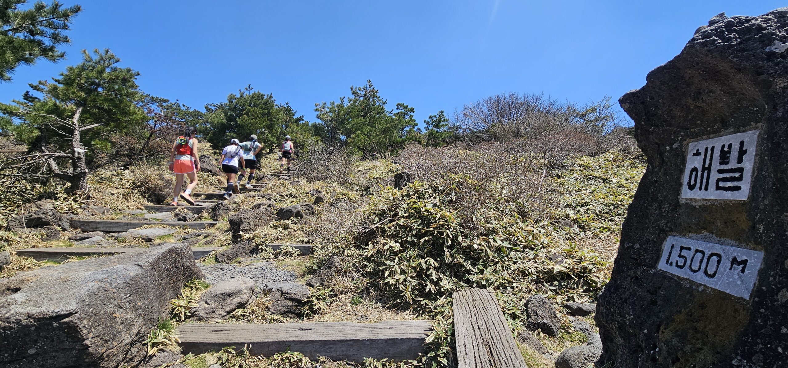 Runners on a rocky ridge trail during the Black Yak Jeju Trail Run