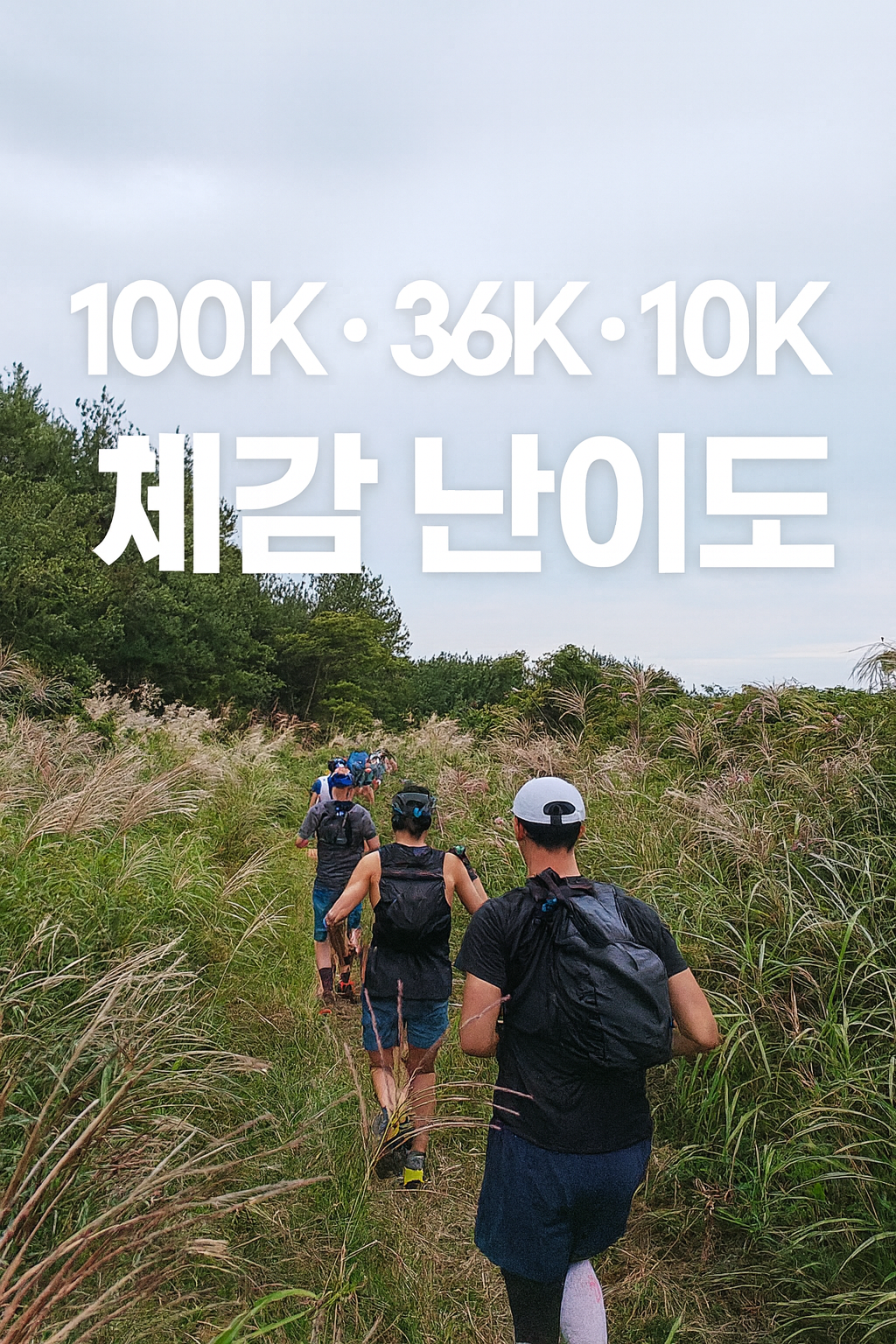 Trail runners during the 2026 Jeju International Trail Running course, focusing on real course conditions and terrain