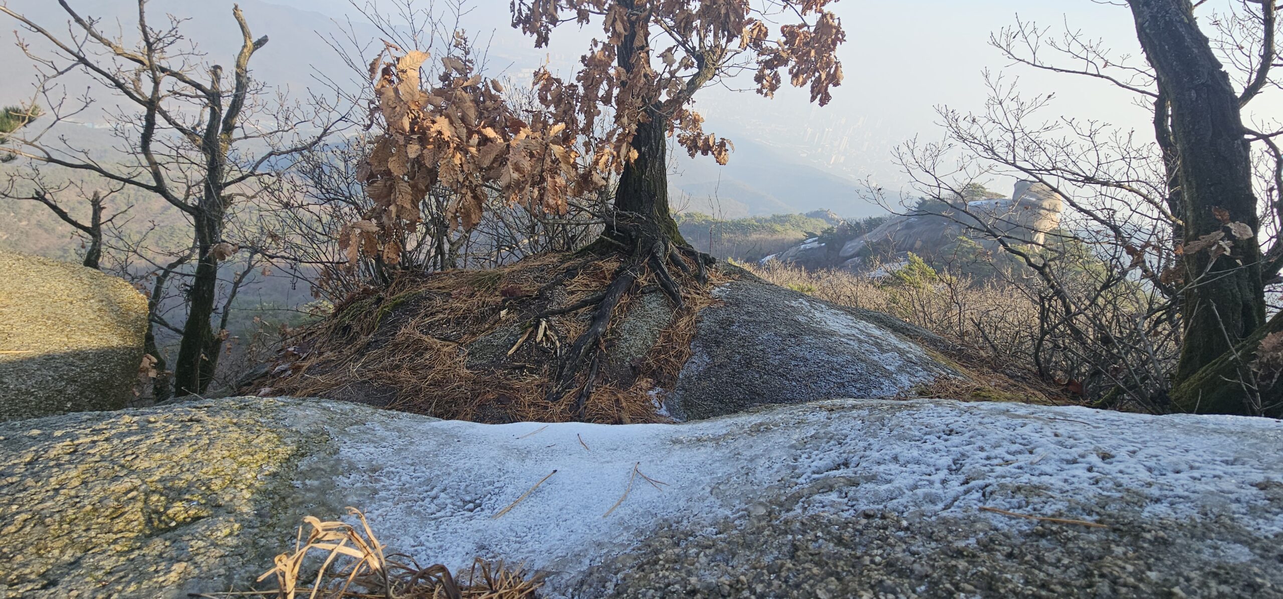 A rocky ridge covered with light frost and scattered dried leaves, with trees and distant mountains visible through the winter haze.