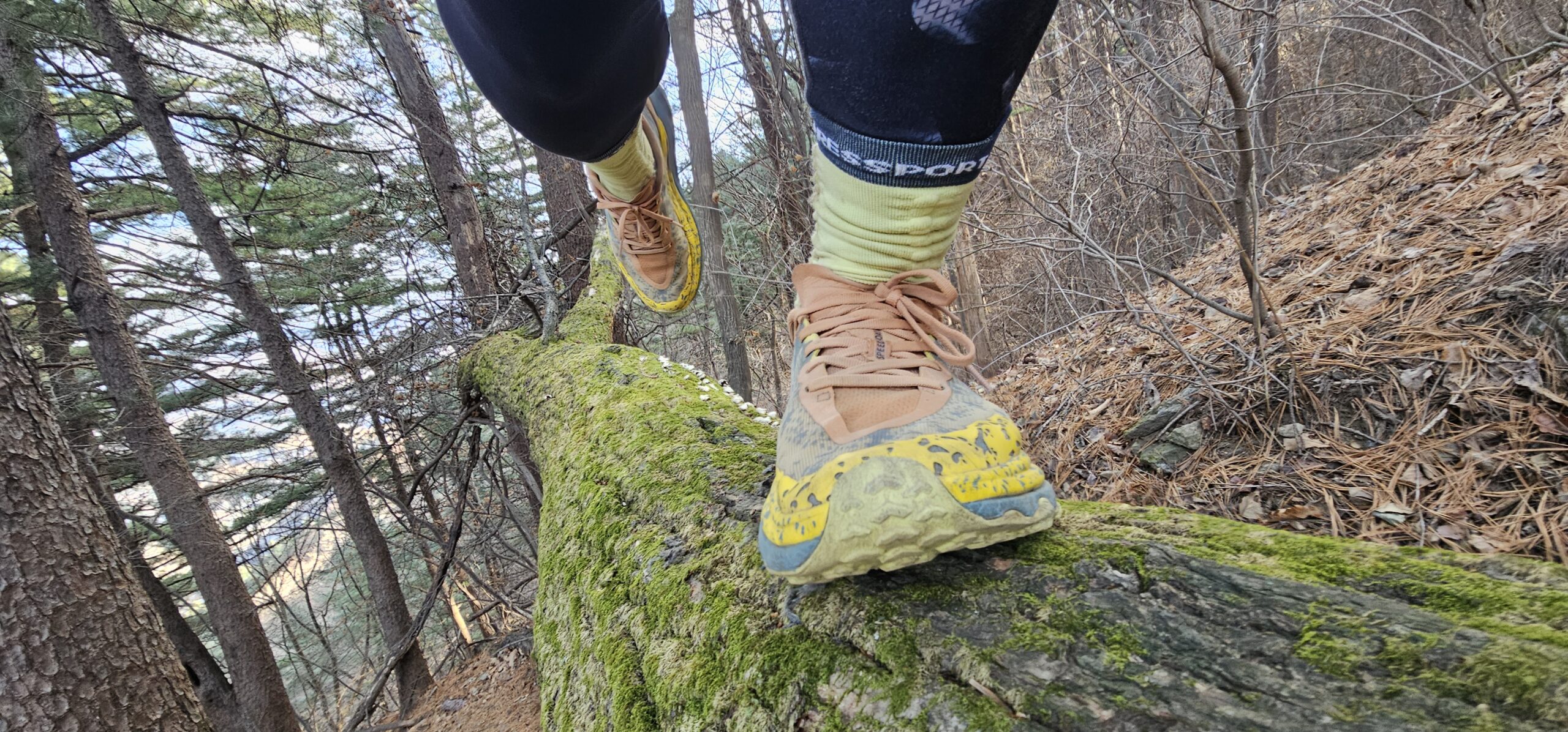 Close-up shot of trail running shoes balancing on a moss-covered fallen tree along the Yeoninsan ridge trail, capturing the natural texture and rugged terrain.