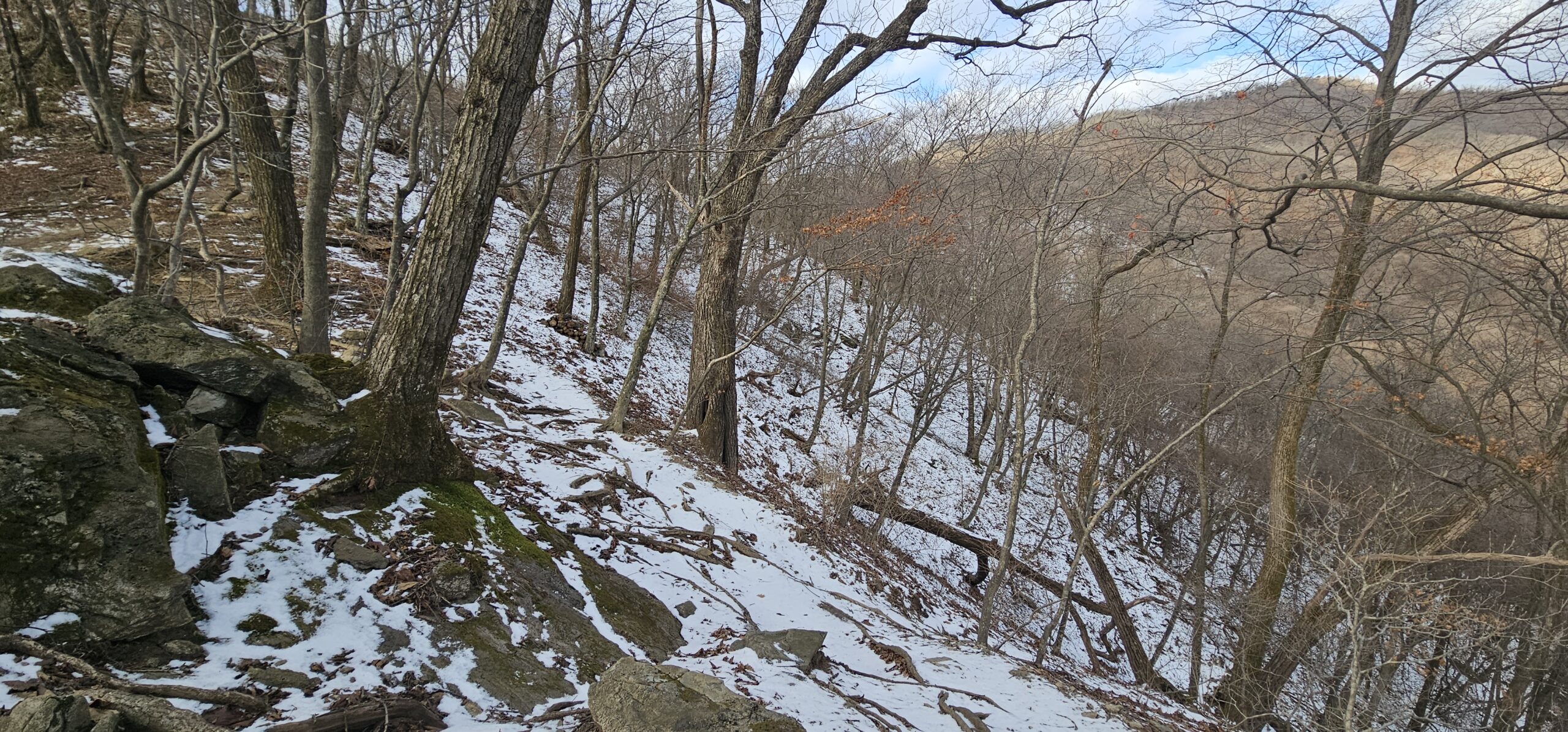 A winter mountain slope covered with shallow snow, exposed tree roots, and bare trees along the Yeoninsan trail, showing early-winter forest scenery.