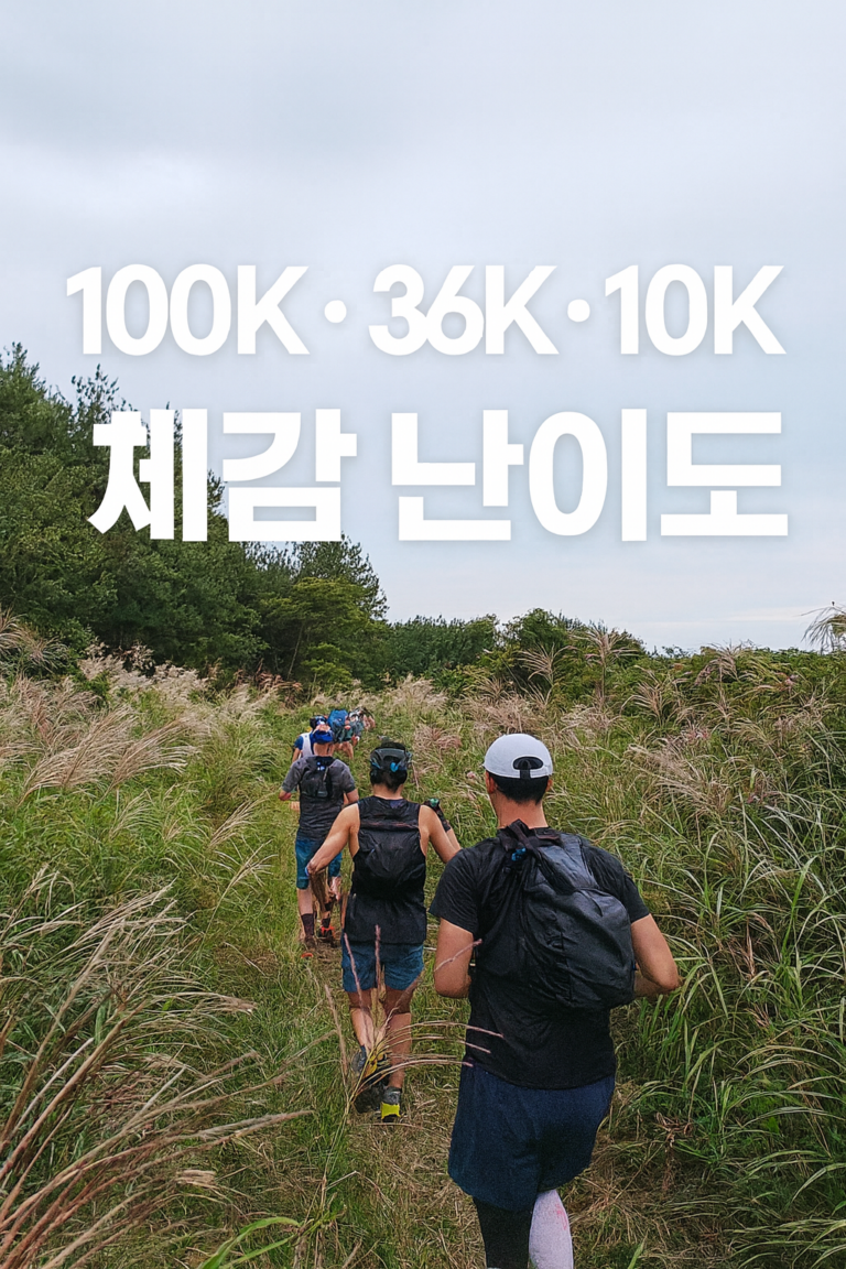 Trail runners during the 2026 Jeju International Trail Running course, focusing on real course conditions and terrain